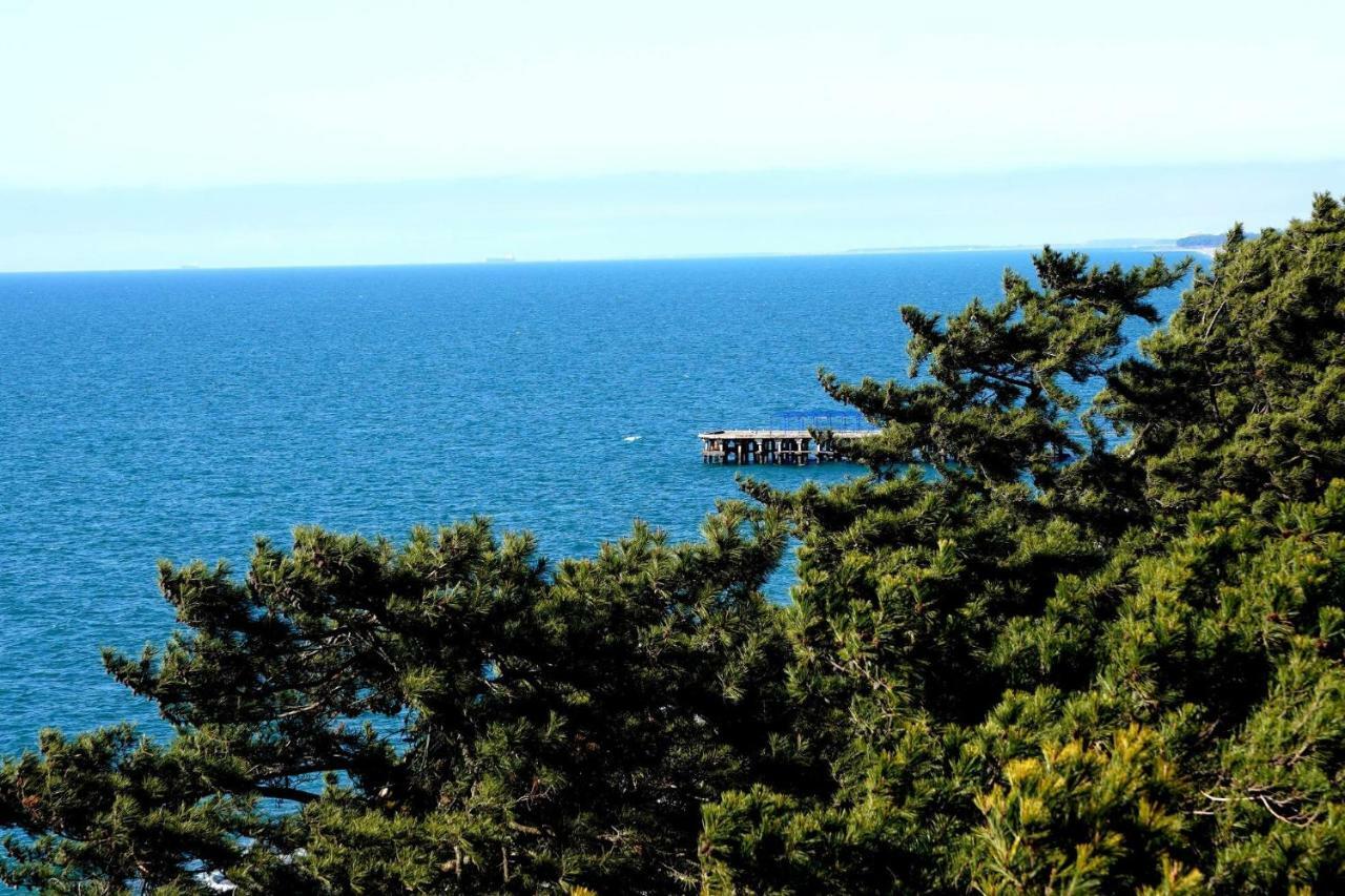 Guest House Romanadze Kobuleti Kültér fotó